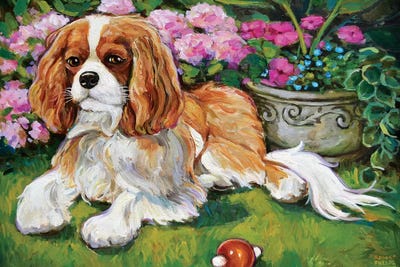 Cavalier King Charles Spaniel In The Garden by Robert Phelps acrylic art print