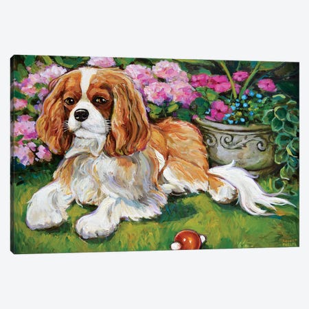 Cavalier King Charles Spaniel In The Garden Canvas Print #RPH126} by Robert Phelps Canvas Artwork