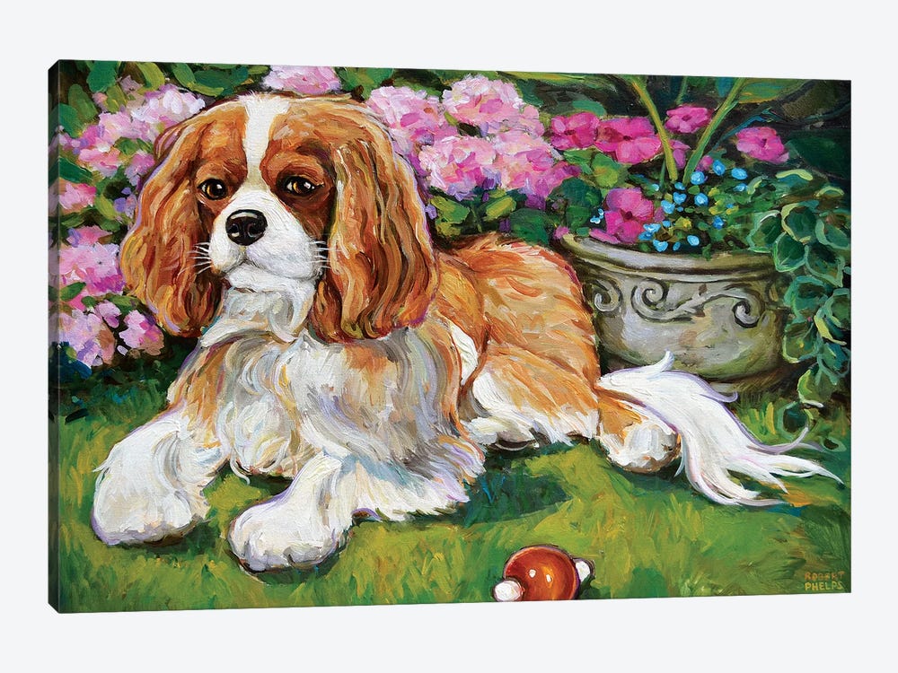 Cavalier King Charles Spaniel In The Garden by Robert Phelps 1-piece Canvas Art Print