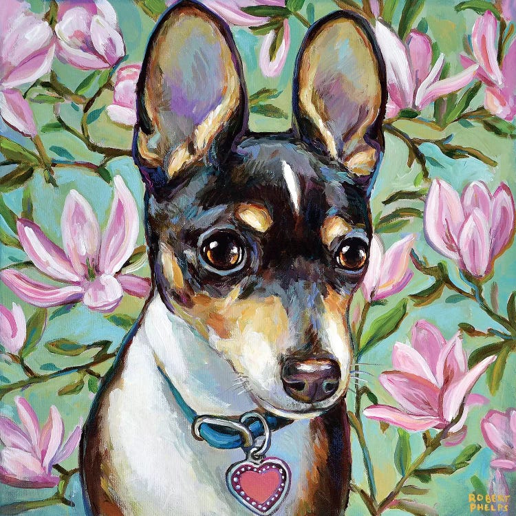 Chihuahua And Magnolia Blossoms