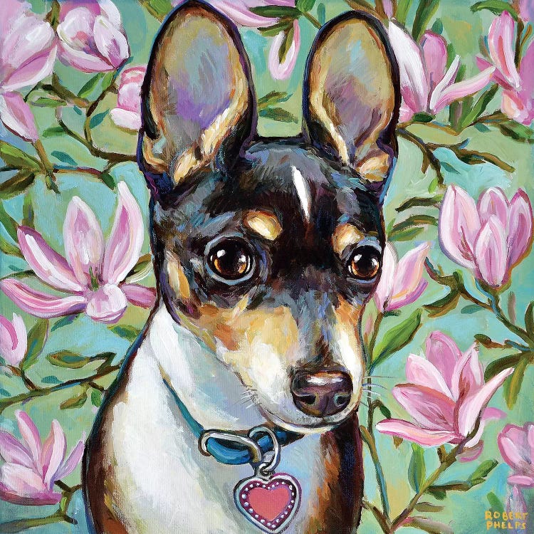 Chihuahua And Magnolia Blossoms by Robert Phelps wall art