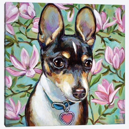 Chihuahua And Magnolia Blossoms Canvas Print #RPH127} by Robert Phelps Canvas Artwork