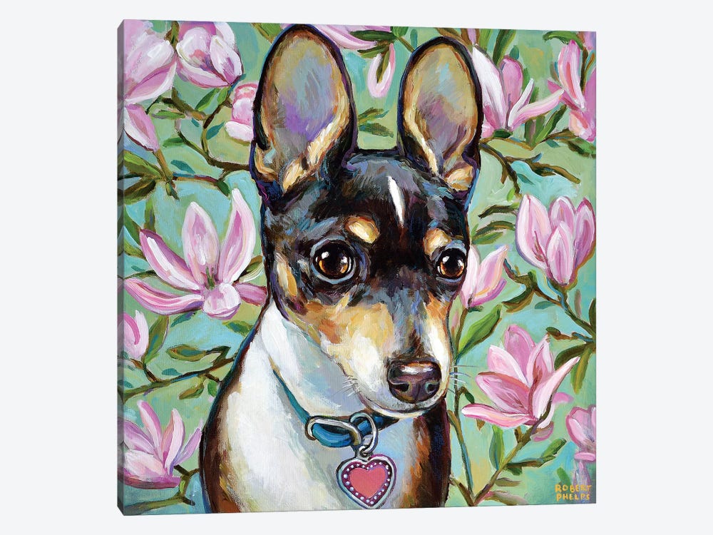 Chihuahua And Magnolia Blossoms by Robert Phelps 1-piece Canvas Artwork