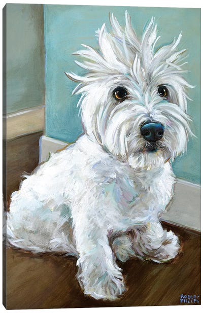 Dude The Westie Canvas Art Print - West Highland White Terrier Art