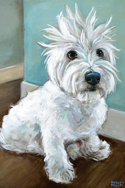 Robert Phelps: Dude The Westie by Robert Phelps