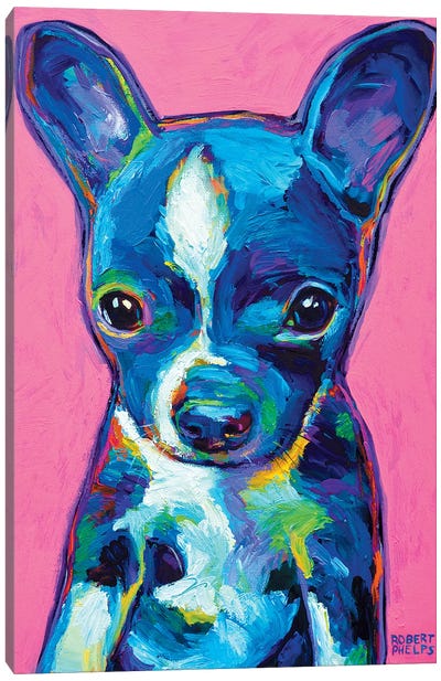 Boston Terrier Puppy Canvas Art Print - Homage to The Fauves