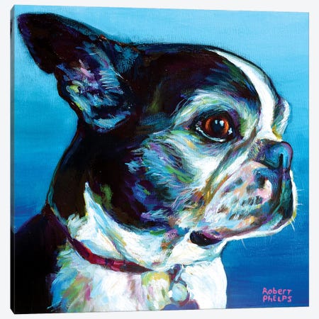 Gimli The Boston Terrier Canvas Print #RPH130} by Robert Phelps Canvas Wall Art