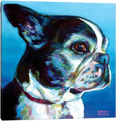 Gimli The Boston Terrier Canvas Art Print - Boston Terrier Art