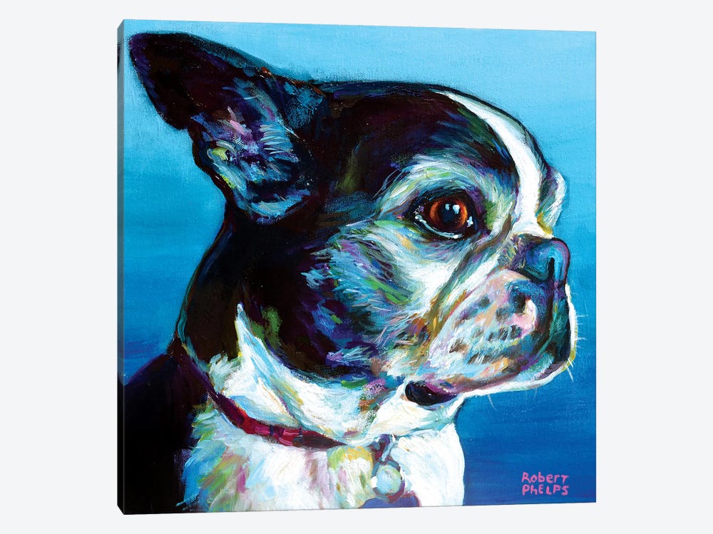 Gimli The Boston Terrier by Robert Phelps 1-piece Canvas Art
