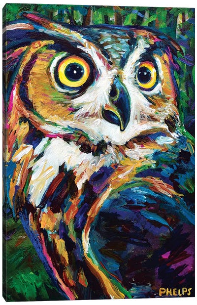 Great Horned Owl Canvas Art Print - Robert Phelps