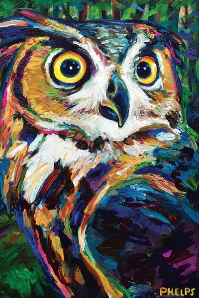 Robert Phelps: Great Horned Owl by Robert Phelps