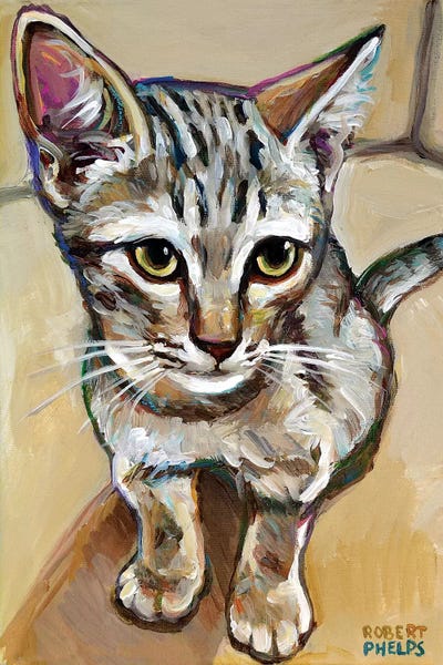 Leaf The Kitten by Robert Phelps metal wall art