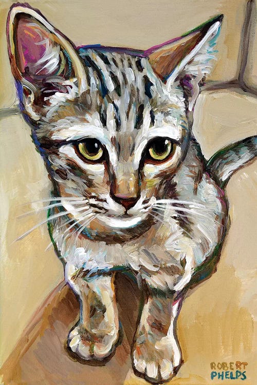 Leaf The Kitten by Robert Phelps wall art