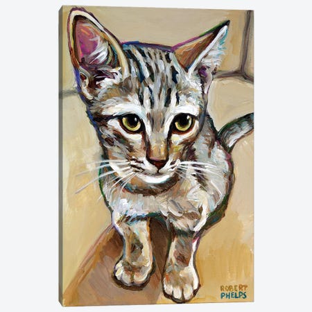 Leaf The Kitten Canvas Print #RPH132} by Robert Phelps Canvas Wall Art