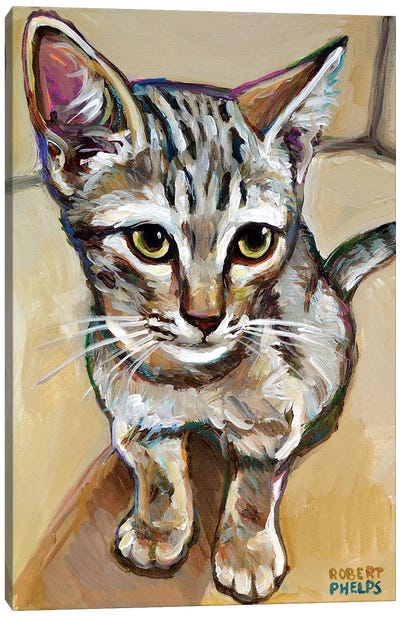 Leaf The Kitten Canvas Art Print - Robert Phelps