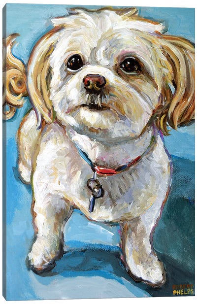 Murphy The Maltipoo Canvas Art Print - Poodle Art