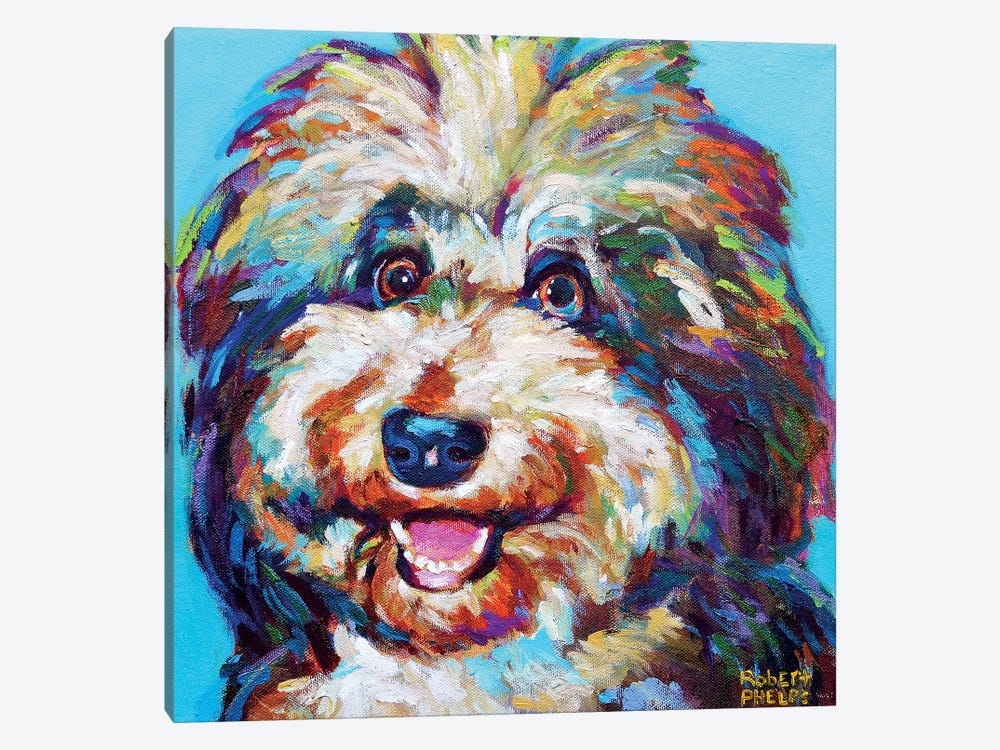 Olivia The Aussie Doodle by Robert Phelps 1-piece Canvas Wall Art