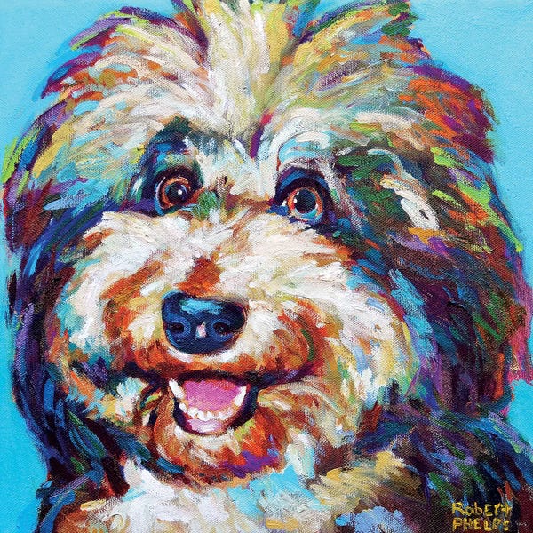 Robert Phelps: Olivia The Aussie Doodle by Robert Phelps