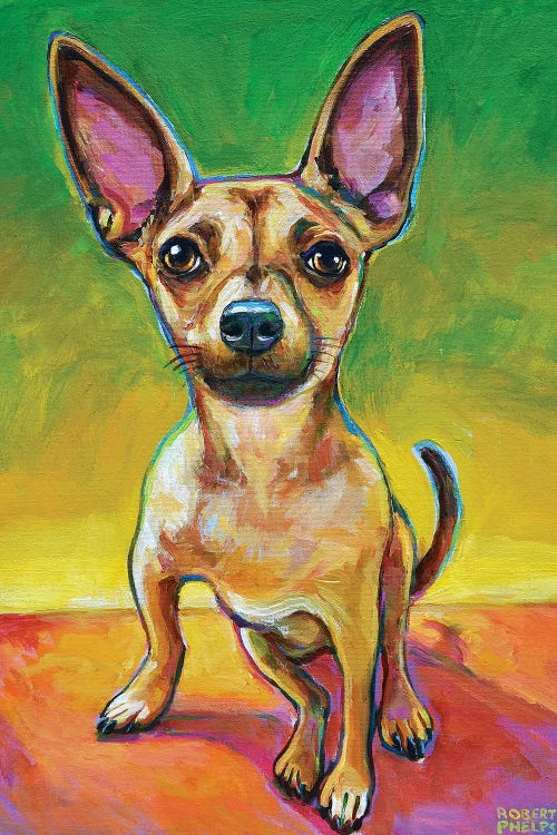 Ollie The Chihuahua by Robert Phelps wall art