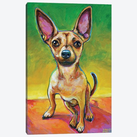 Ollie The Chihuahua Canvas Print #RPH136} by Robert Phelps Art Print
