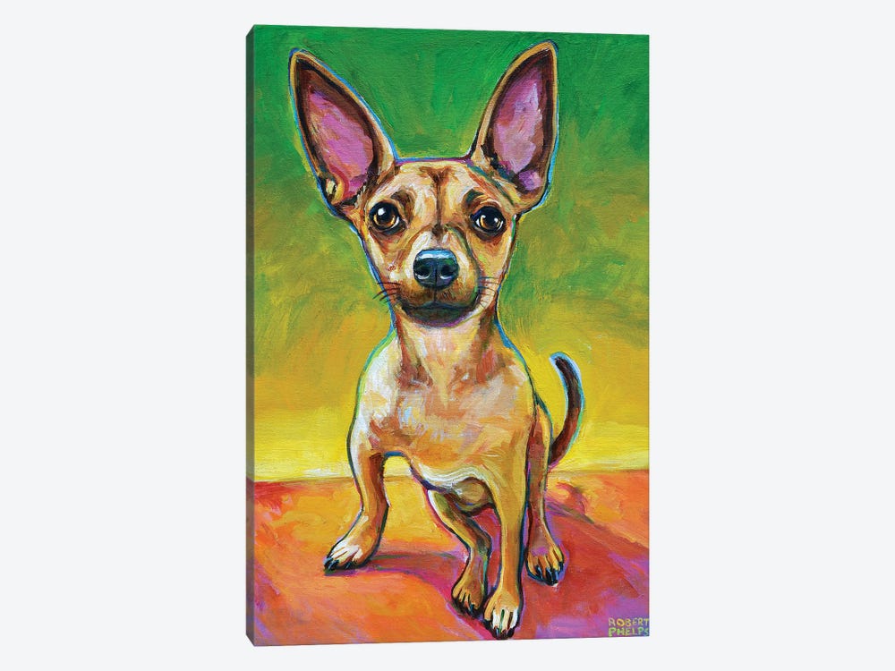 Ollie The Chihuahua by Robert Phelps 1-piece Canvas Wall Art