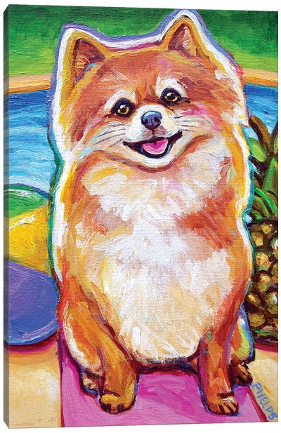 Poolside Pomeranian Pup Canvas Art Print - Robert Phelps