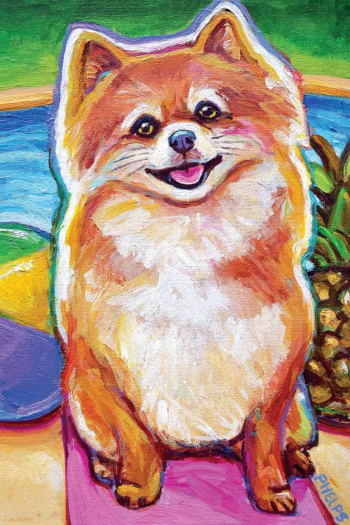 Poolside Pomeranian Pup by Robert Phelps wall art