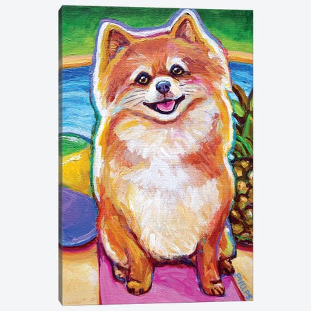 Poolside Pomeranian Pup Canvas Print #RPH137} by Robert Phelps Canvas Art Print