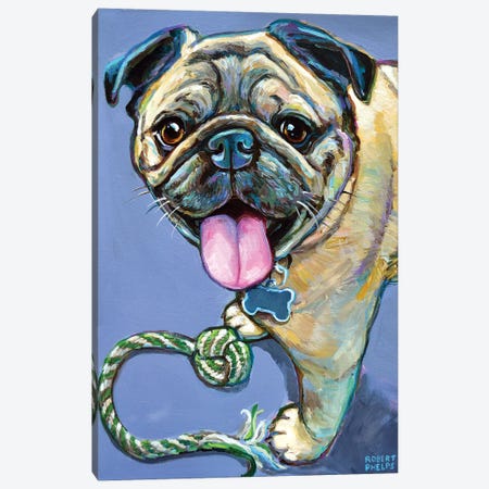 Happy Pug With Toy Canvas Print #RPH138} by Robert Phelps Canvas Wall Art