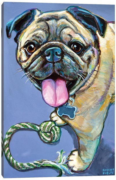 Happy Pug With Toy Canvas Art Print - Pug Art