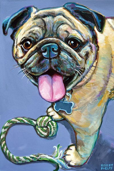 Pugs: Happy Pug With Toy by Robert Phelps