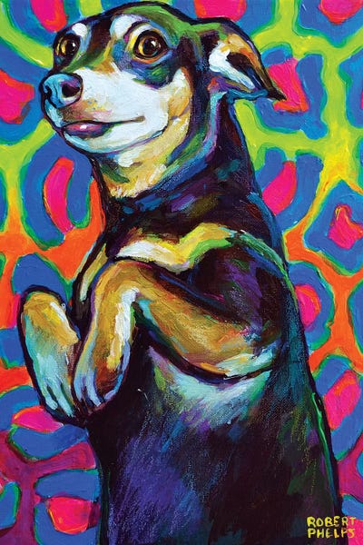 Punk Rock Dachshund by Robert Phelps canvas print