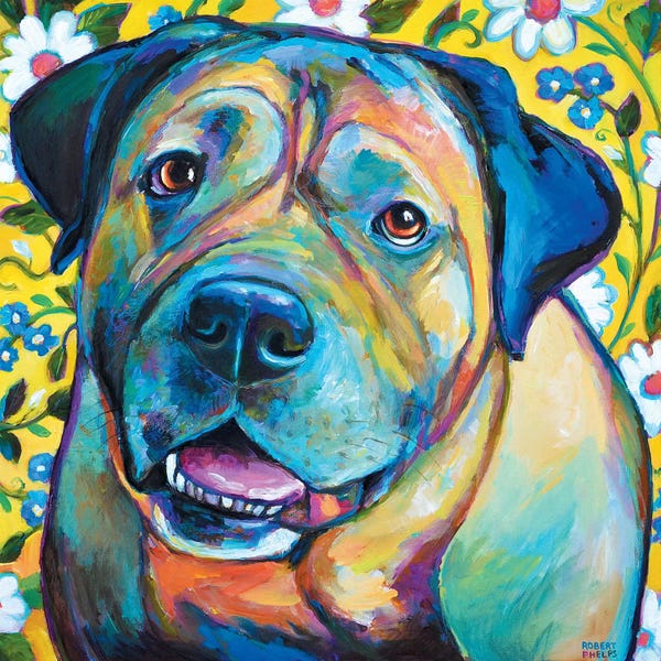 Robert Phelps: Bull Mastiff by Robert Phelps