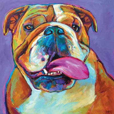 Bulldog by Robert Phelps metal wall art