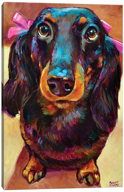Roxy The Dachshund Canvas Art Print - Robert Phelps