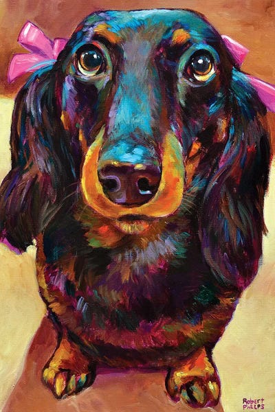 Robert Phelps: Roxy The Dachshund by Robert Phelps