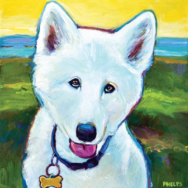 Samoyeds: Seaside Samoyed by Robert Phelps