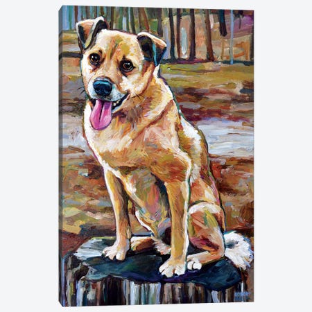 Shiba Inu Mix In The Woods Canvas Print #RPH142} by Robert Phelps Art Print