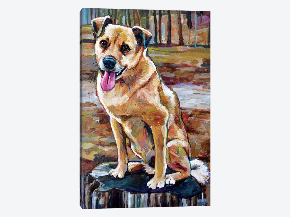 Shiba Inu Mix In The Woods by Robert Phelps 1-piece Art Print