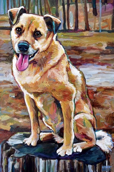 Shiba Inus: Shiba Inu Mix In The Woods by Robert Phelps