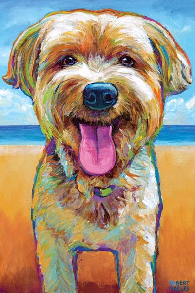 Yorkie On The Beach by Robert Phelps metal wall art
