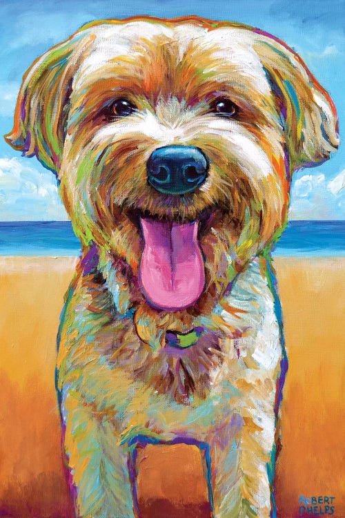 Yorkie On The Beach by Robert Phelps wall art