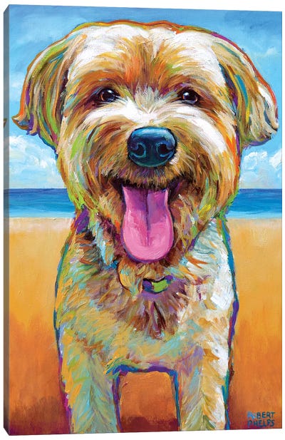 Yorkie On The Beach Canvas Art Print - Yorkshire Terrier Art