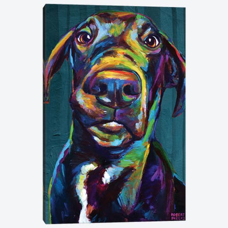 Great Dane On Blue Canvas Print #RPH146} by Robert Phelps Canvas Wall Art