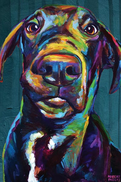 Great Danes: Great Dane On Blue by Robert Phelps