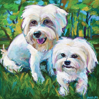 Maltese Puppies In The Park by Robert Phelps framed canvas print
