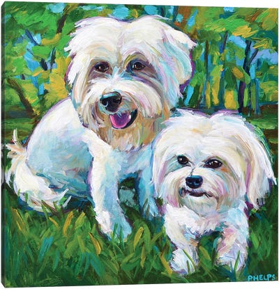 Maltese Puppies In The Park Canvas Art Print