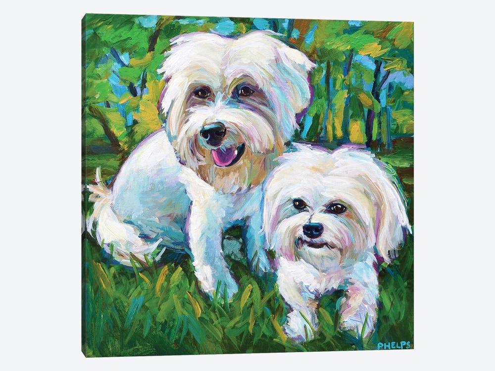 Maltese Puppies In The Park by Robert Phelps 1-piece Canvas Art