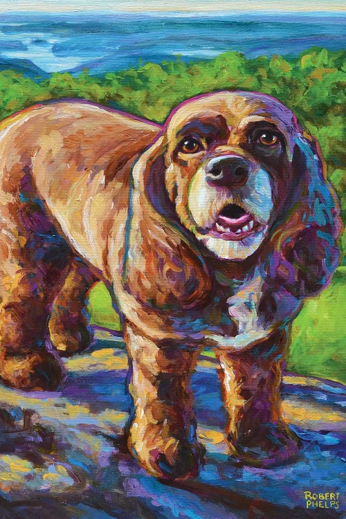 Mountain Spaniel by Robert Phelps wall art