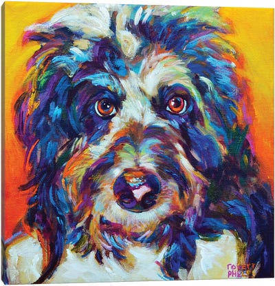 Mr Aussiedoodle Canvas Art Print - All Things Matisse